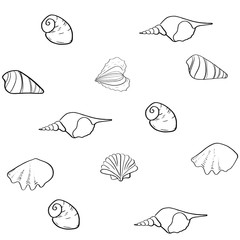 seashells line vector background 