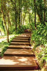 Stairway to jungle, Thaialnd