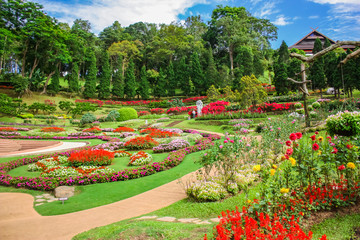 Obraz premium beautiful garden with flowers in Thailand