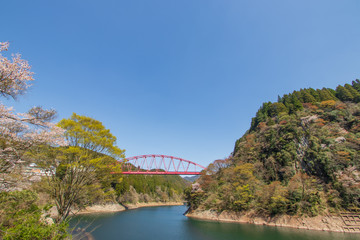 春の蜂の巣湖と鉄橋　大分県日田市
