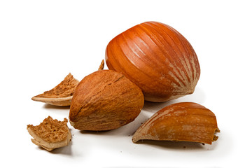 One shelled and one whole hazelnut, with fragments of its shell around it, isolated on a white background