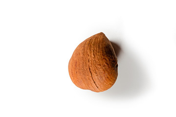 A shelled hazelnut, isolated on white background
