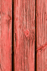 Old weathered wooden plank painted in living coral