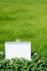 Sketchbook on green grass