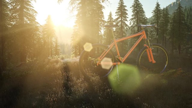 bicycle in mountain forest at sunset