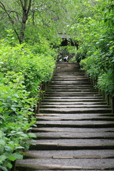 Obraz premium 新緑の風景