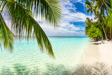 Obraz na płótnie Canvas tropical paradise beach white sand and coco palms travel tourism background concept