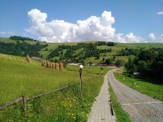 Carpathian mountains in spring