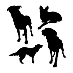 Black silhouettes of dogs on a white background.