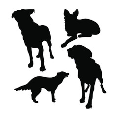 Black silhouettes of dogs on a white background. Set of vector illustrations