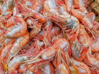 Background with red boiled shrimp. Seafood of the sea of Japan.