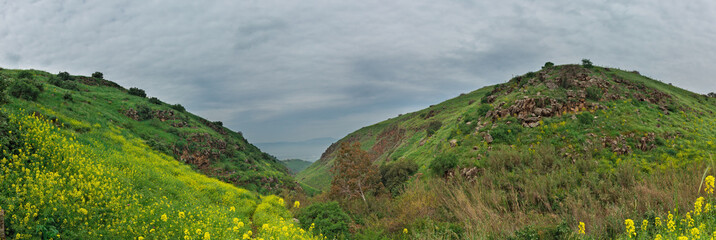 panorama of the Golan heights in spring
