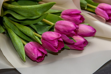 Bouquet of spring tulips on dark wooden background