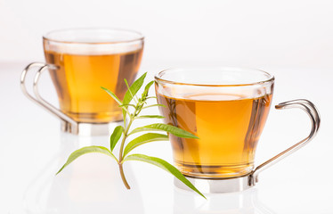 Tea with lemon verbena - Aloysia citrodora. White background