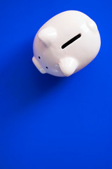 Pink piggy bank on bright blue background.