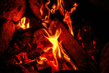 Fire and wood.Fire closeup