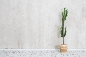 Fotobehang cactus in een pot tegen de achtergrond van een muur. Modern grungy interieur. © ulza
