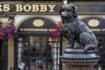 Greyfriars Bobby, Scotland Dog