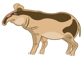 Animal tapir on white background is insulated