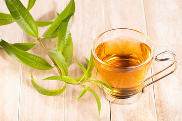 Tea with lemon verbena - Aloysia citrodora. Wood background