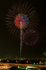 なにわ淀川花火大会 #7