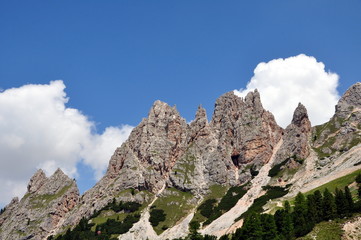 Dantercerpies in den Dolomiten