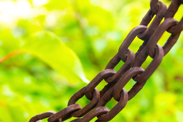 chain brown long old rusty on a blurry background light green grunge design