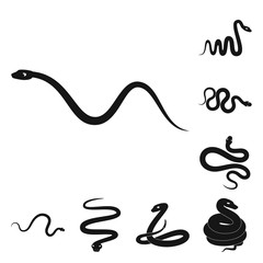 Vector illustration of nature and medicine symbol. Set of nature and evil stock symbol for web.