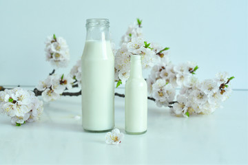 Fototapeta na wymiar Two bottles of fresh milk with apricot flowers on   white background. Fresh milk from the farm. Dairy product.