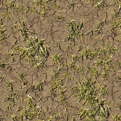Patch grass seamless