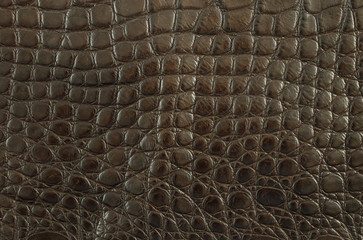 A dark brown alligator leather texture.