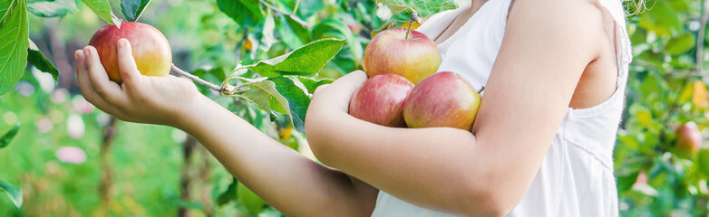 Child with an apple. Selective focus. Garden.