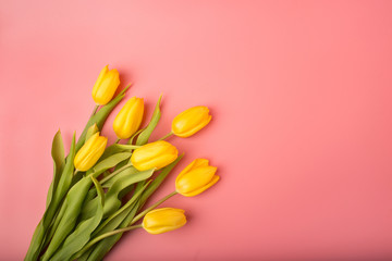Spring card: yellow tulips on a coral background. Top view, lay flat