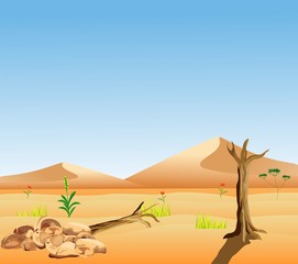 Obraz na płótnie Canvas Desert landscape wildlife vector