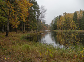 Swedish river and natural salmon area in autumn. Farnebofjarden national park in Sweden.
