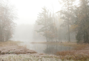 Swedish river and natural salmon area in autumn. Farnebofjarden national park in Sweden.