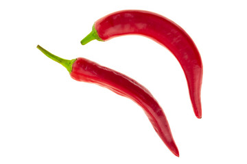spicy seasoning fresh red bright chili pepper on a white background pair of vegetables base menu cooking asia food