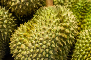 Durian is a big green thailand fruit spiny close up. Royal Fruit of Thailand, ban on fruit hotel