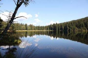 Kleiner Arbersee / Kleiner Arbersee /