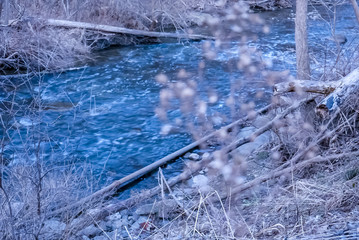 spring rforest river brook