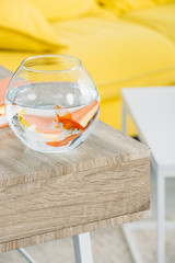 selective focus of aquarium with gold fish on wooden table