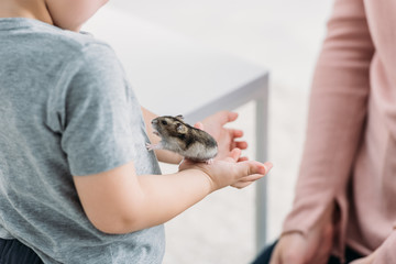 partial view of boy holding adorable fluffy hamster hear mother