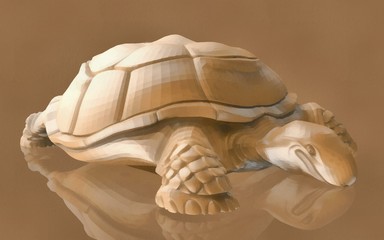 turtle on a white background