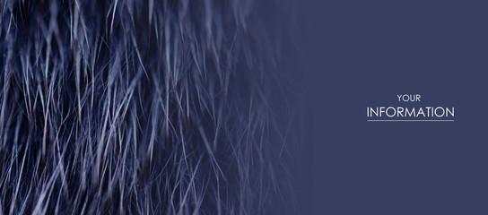 Blue fur macro villus texture detail nature pattern on blur background