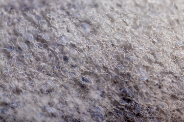 The structure of the bubbles of foam from shampoo or cleaning agent