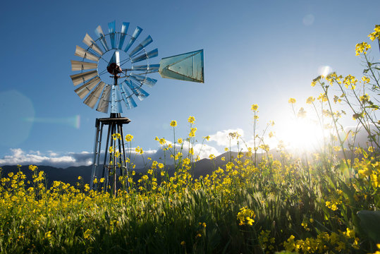 Traditional windmill in a field, United states