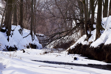 frozen stream