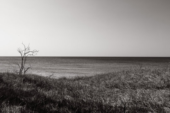 coast view seascape black and white