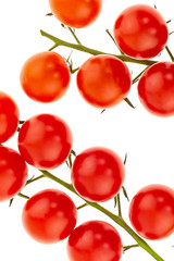 couple of branches of tomatoes on a branch of cherry red mini vegetables close-up of a part of a colorful base