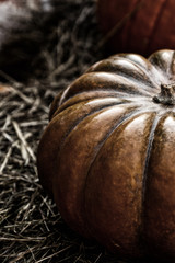 dark stained background basis autumn harvest large effect vintage